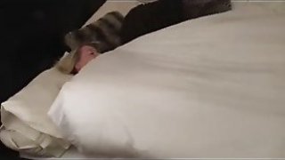 Creampie bbc digi creationssvdze Thumbnail